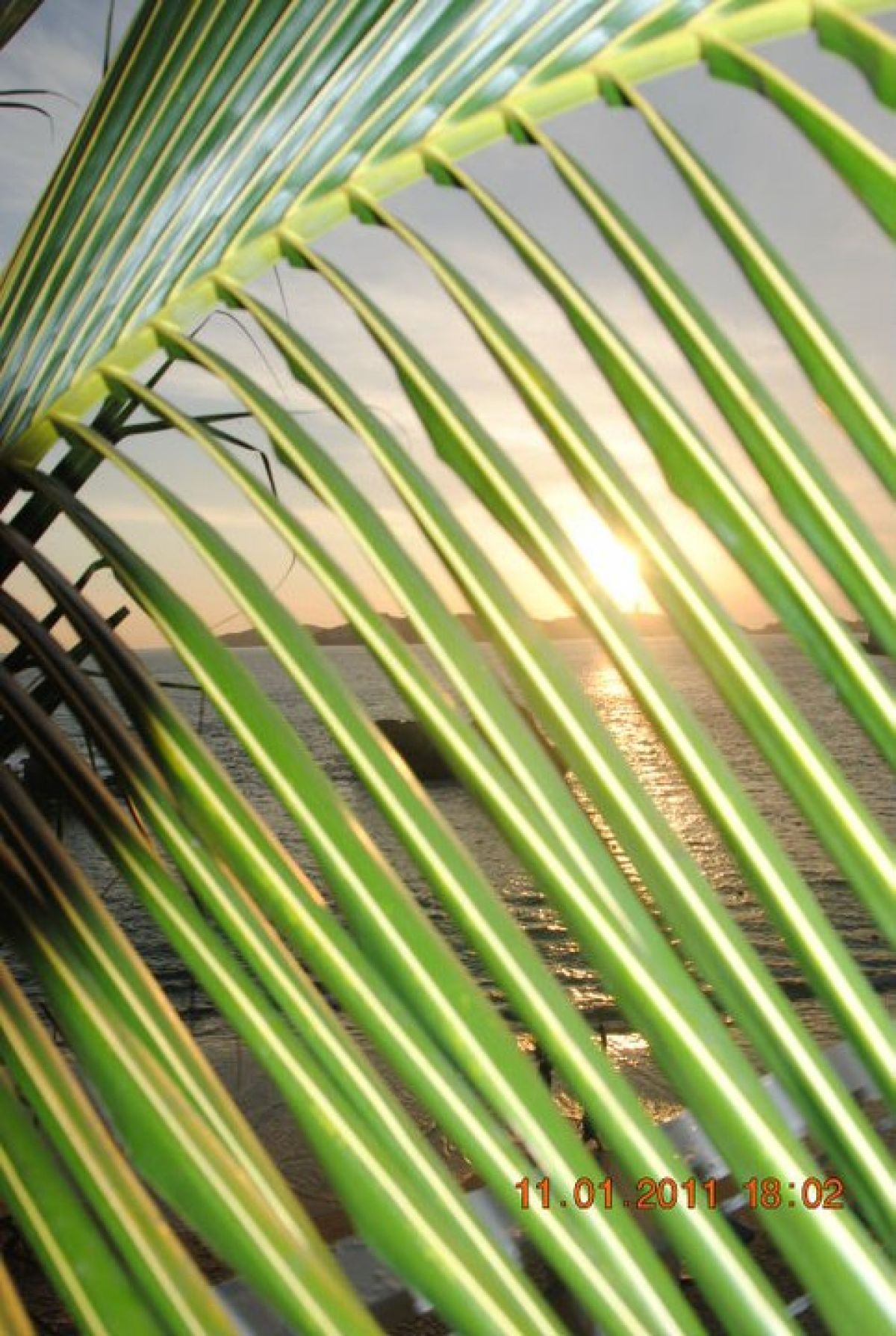 imagini hotel FIESTA AMERICANA VILLAS